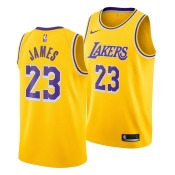 Nike Men's LeBron James Los Angeles Lakers Icon Swingman Jersey Nike Men's LeBron James Los Angeles Lakers Icon Swingman Jersey
