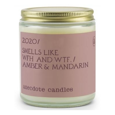 Anecdote Candles 'Smells like 2020' Candle from Macy's at ...