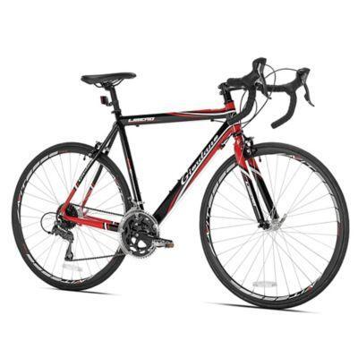 22 inch road bike