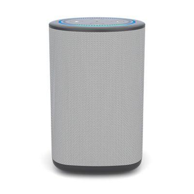 echo dot grey