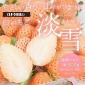 【果之蔬】日本夢幻淡雪白草莓(每盒2P/約500g±10%)/ 【果之蔬】日本夢幻淡雪白草莓(每盒2P/約500g±10%)