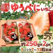 【果之蔬】日本嚴選熊本/福岡草莓(每盒2P/約500g±10%)/ 【果之蔬】日本嚴選熊本/福岡草莓(每盒2P/約500g±10%)
