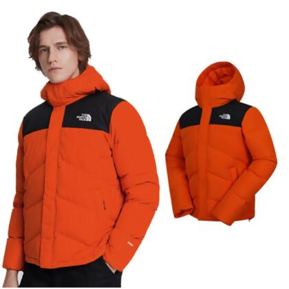 【美國 The North Face】男新款 700FP 超輕防風防潑水保暖鵝絨連帽羽絨外套.夾克(可調節)/4NEN-R16 岩橘 N 