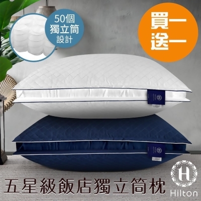 【Hilton 希爾頓】五星級純棉立體銀離子抑菌獨立筒枕頭/買一送一/兩色任選(B0033-DX) 