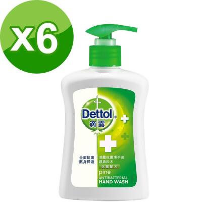 滴露Dettol-經典松木洗手乳(250mlx6) 