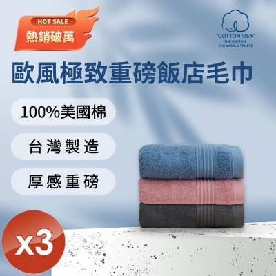 【HKIL-巾專家】MIT歐風極緻厚感重磅飯店彩色毛巾(3色任選)-3入組 