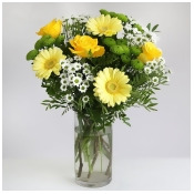 Pick of the day - Milk & Honey - flowers Pick of the day - Milk & Honey - flowers