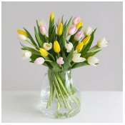 Mother's Day Tulips - flowers Mother's Day Tulips - flowers