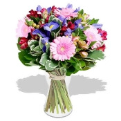Gloriana - flowers Gloriana - flowers