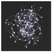 Habitat Micro 100 Led Silver Wire Christmas Lights Habitat Micro 100 Led Silver Wire Christmas Lights