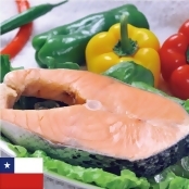 ★冰原鮮魚嚴選★鮭魚輪切400g ★冰原鮮魚嚴選★鮭魚輪切400g