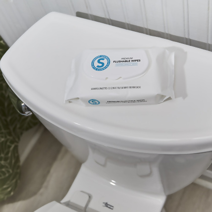 Shopping Annuity&#174; Brand Premium Flushable Wipes - 150 Count alternate image