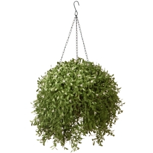 18 Artificial Two-Tone Green Argentea Plant in Hanging Basket - All