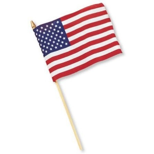 Club Pack of 36 United States Cotton Cloth 8 x 12 Flags - All