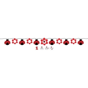 Pack of 6 Floral Ladybug Fancy Ribbon Party Banner and Sticker Sets 5' - All