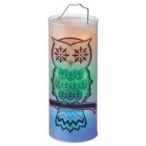 12 Battery Operated Transparent Owl Led Color Changing Lighted Hanging Halloween Lantern - All