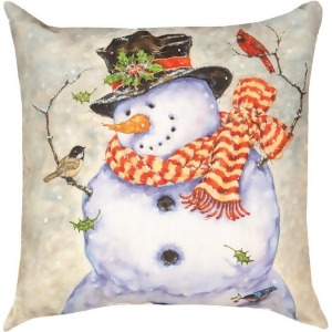 18 It's Cold Outside ClimaWeave Square Indoor/ Outdoor Decorative Pillow - All