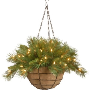 20 Pre-Lit Battery-Operated Tiffany Fir Artificial Christmas Hanging Basket Warm White Led Lights - All