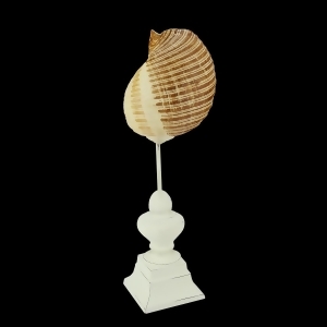 13.75 Beach Inspired Brown and Cream Seaside Seashell on Pedestal Finial Decoration - All