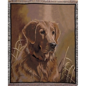 Golden Retriever Dog Face Portrait Tapestry Throw 50 x 70 - All