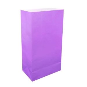 Pack of 100 Flame Resistant Traditional Purple Relay for Life Luminaria Bags 11 - All