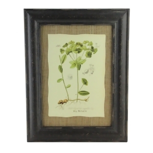 16.5 Botanic Beauty Decorative Euphorbia Angulata Print with Burlap Accent Framed Wall Art - All