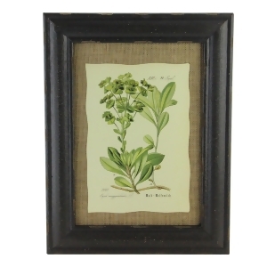 16.5 Botanic Beauty Decorative Euphorbia Amygdaloides Print with Burlap Accent Framed Wall Art - All