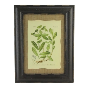 16.5 Botanic Beauty Decorative Euphorbia Dulcis Print with Burlap Accent Framed Wall Art - All