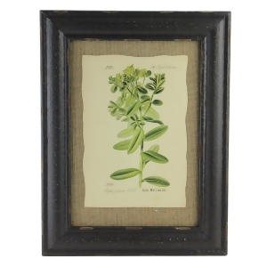 16.5 Botanic Beauty Decorative Euphorbiaceae Print with Burlap Accent Framed Wall Art - All