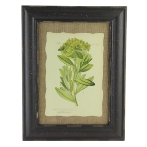 16.5 Botanic Beauty Decorative Euphorbia Palustris Print with Burlap Accent Framed Wall Art - All