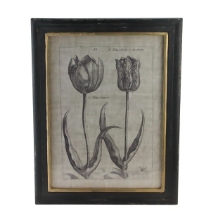 18 Botanic Beauty Decorative Vintage Style Double Tulip Print Framed Wall Art - All