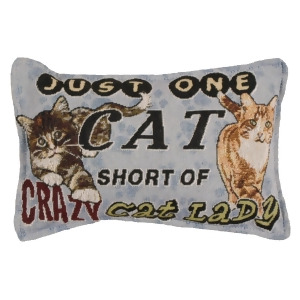Set of 4 Humorous Crazy Cat Lady Rectangular Decorative Tapestry Throw Pillows 12 - All