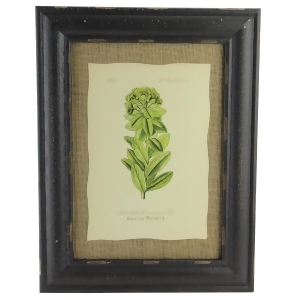16.5 Botanic Beauty Decorative Euphorbia Pannonica Print with Burlap Accent Framed Wall Art - All