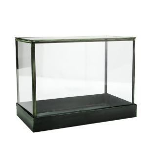 12.25 Rectangular Table Top Glass Terrarium with Green Metal Base - All