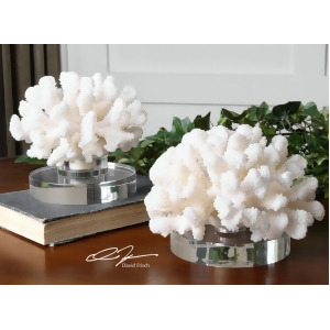 Set of 2 Tropical Ocean Hard Creamy White Coral Sculptures with Crystal Bases - All