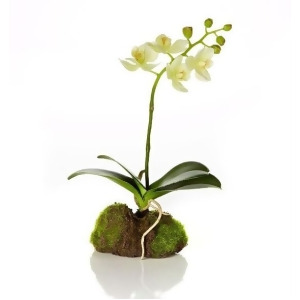 11.5 Decorative Artificial White Silk Phalaenopsis Orchid Flowering Plant - All