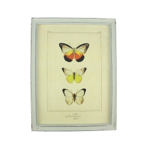 15.75 Botanic Beauty Decorative Orange Butterfly Framed Print Wall Art - All