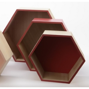Set of 3 Basic Luxury Hexagonal Shadow Boxes with Rose Red Accents 11.5 15.5 - All