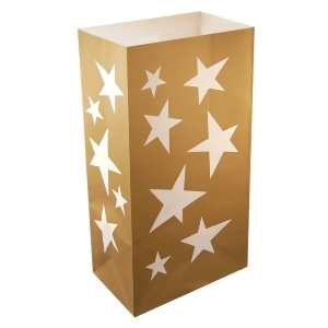 Pack of 24 Traditional Elegant Golden Star Decorative Luminaria Bags 11 - All