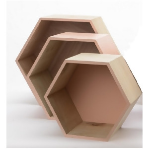 Set of 3 Basic Luxury Hexagonal Shadow Boxes with Peach Accents 11.5 15.5 - All
