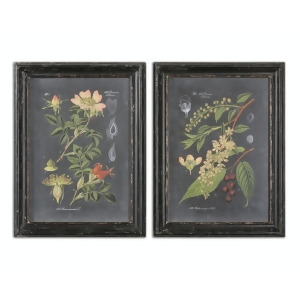 Set of 2 Midnight Floral Botanicals Wall Art Prints with Distressed Wooden Frames - All
