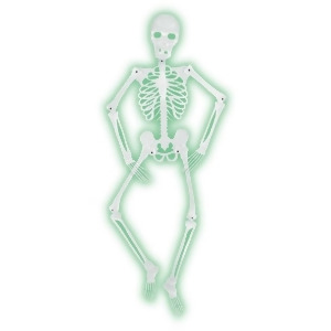 Pack of 6 Halloween Mr. Bones-A-Glo Jointed Skeleton Hanging Decoration 5' - All