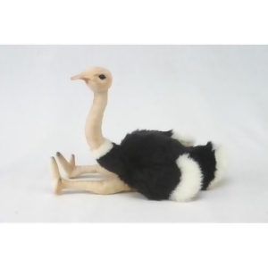 Set of 4 Lifelike Handcrafted Extra Soft Plush Ostrich Bird Stuffed Animals 9.5 - All