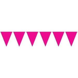 Club Pack of 12 Cerise Outdoor Pennant Banner Hanging Party Decorations 12' - All