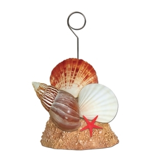 Pack of 6 Multi-Colored Tropical Seashell Photo or Balloon Holder Party Decorations 6 oz. - All