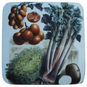 Pack of 8 Antique Style Celery Tomato Vegetable Print Cocktail Drink Coasters 4 - All