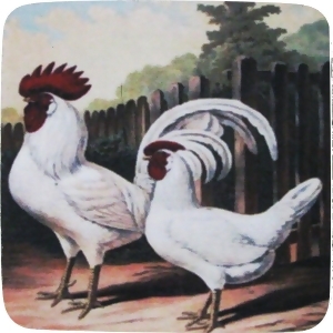 Pack of 8 Absorbent Rural Farm Rooster and Hen Print Cocktail Drink Coasters 4 - All