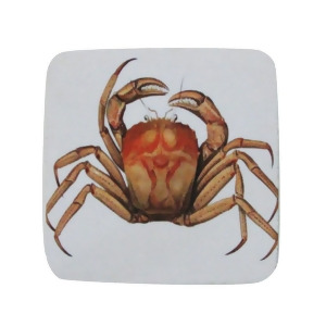 Pack of 8 Absorbent Antique Style Mud Crab Illustration Cocktail Drink Coasters 4 - All