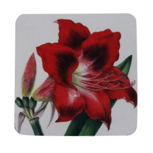 Pack of 8 Absorbent Antique Style Botanical Amaryllis Cocktail Drink Coasters 4 - All