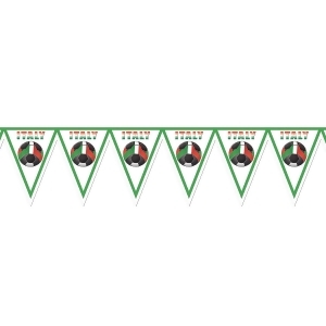 Pack of 6 Red Green and White Soccer Themed Pennant Banner Party Decorations 7.4' - All